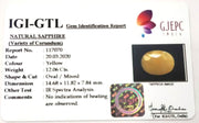 13.38 Ratti Natural Yellow Sapphire with Govt Lab Certificate-(1221)